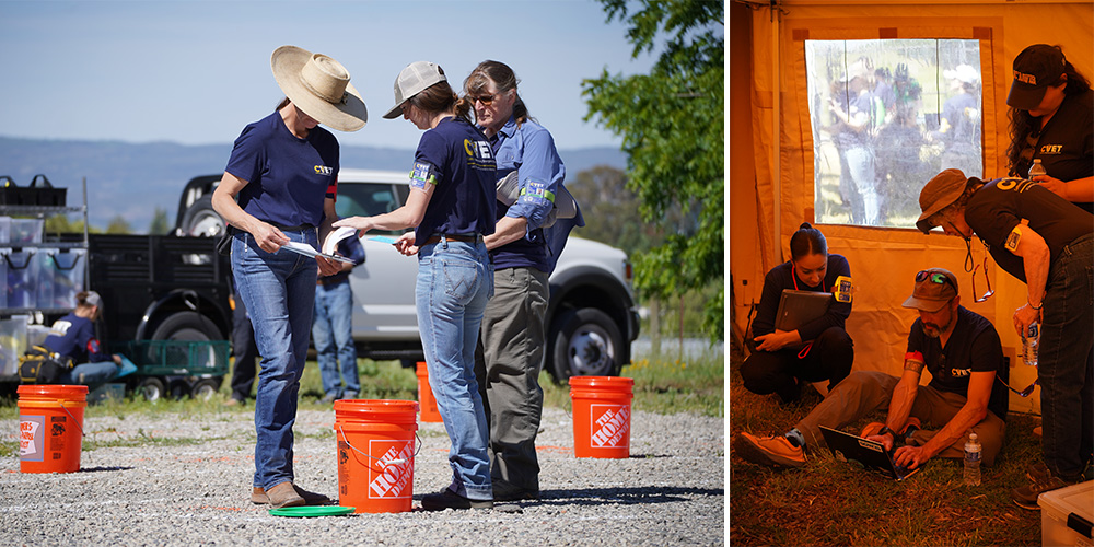 Two photos: daytime volunteers by orange buckets; nighttime group by lit projection screen