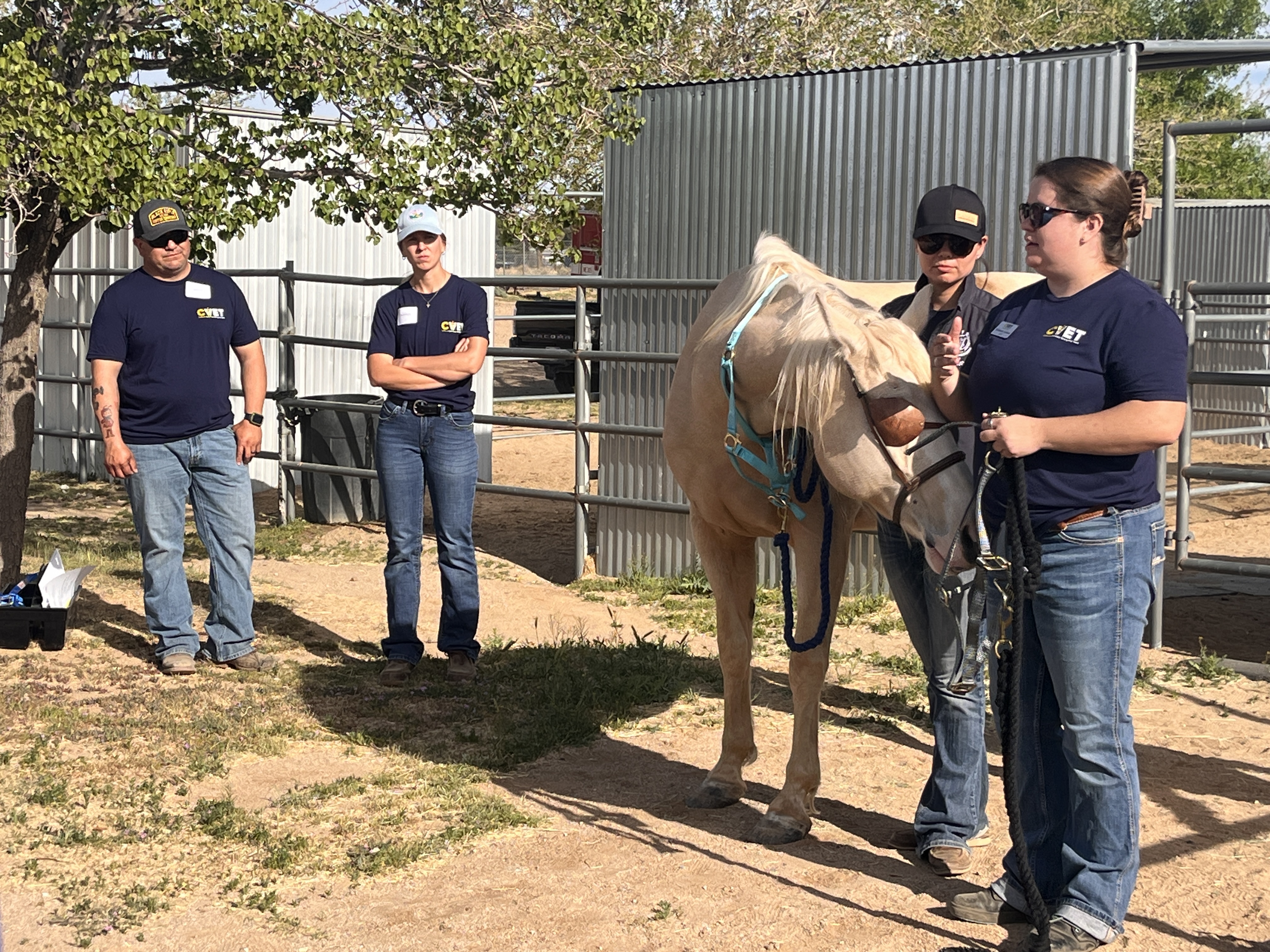 CVET management team teaching horse handling in southern california
