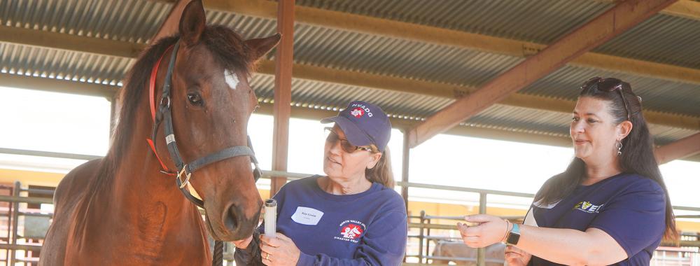 CVET training