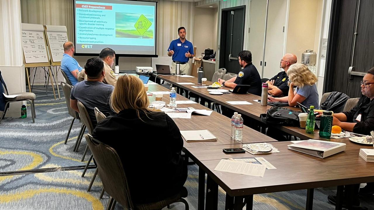 CVET planning
