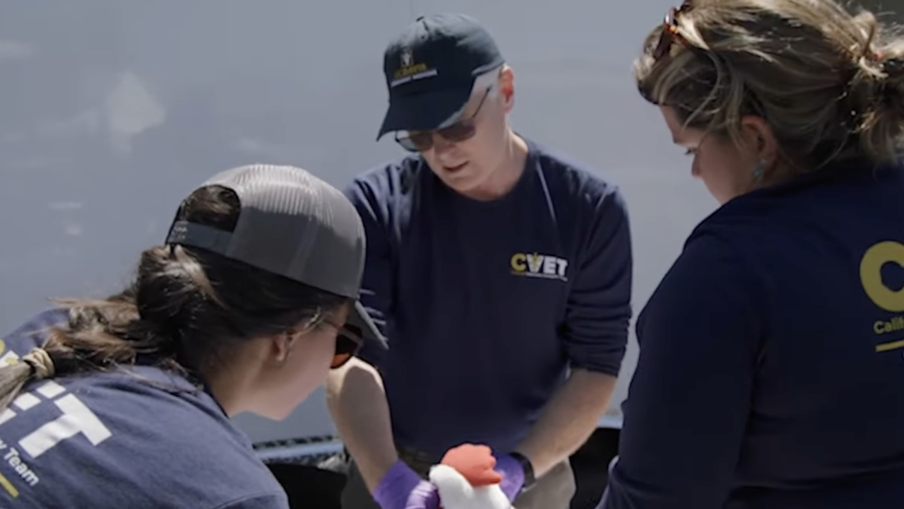 CVET management team practicing