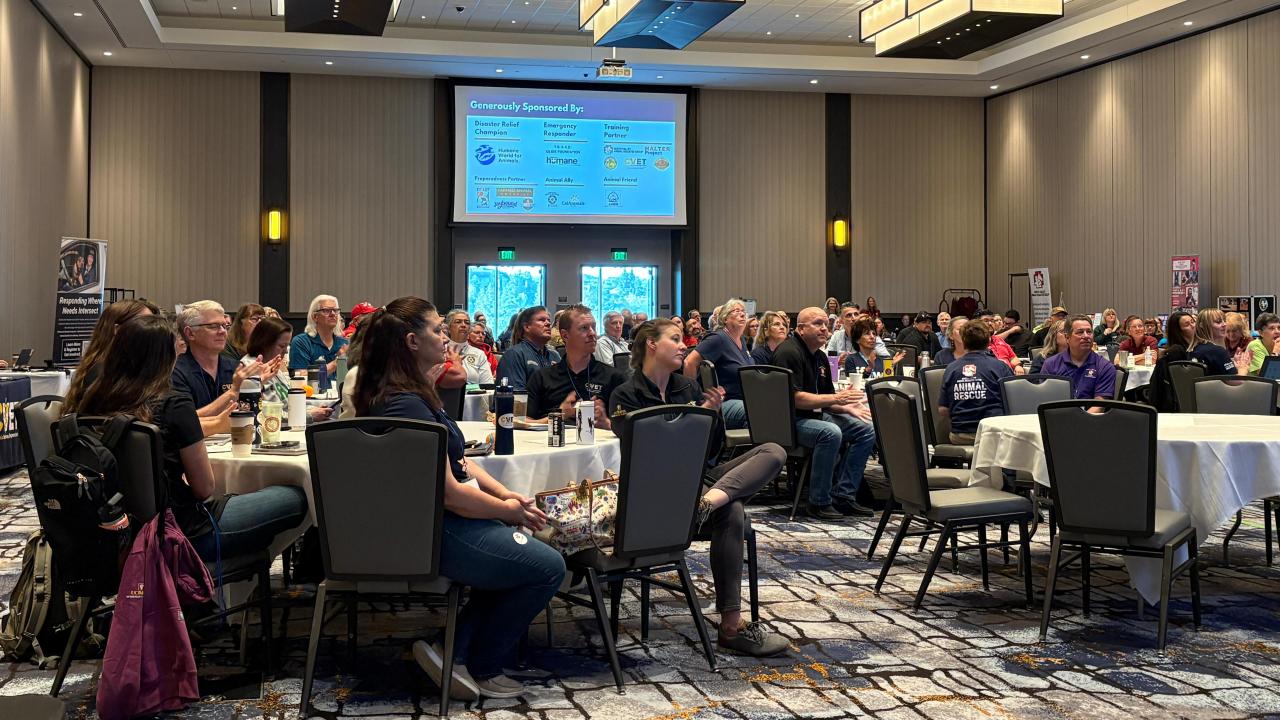 A large group of people seated at tables in a conference setting, engaged and focused.
