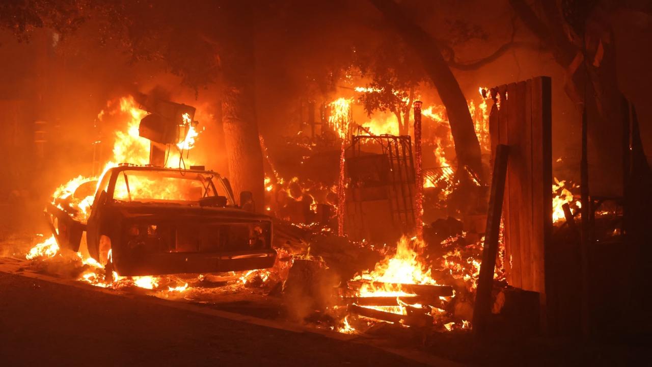 Line Fire