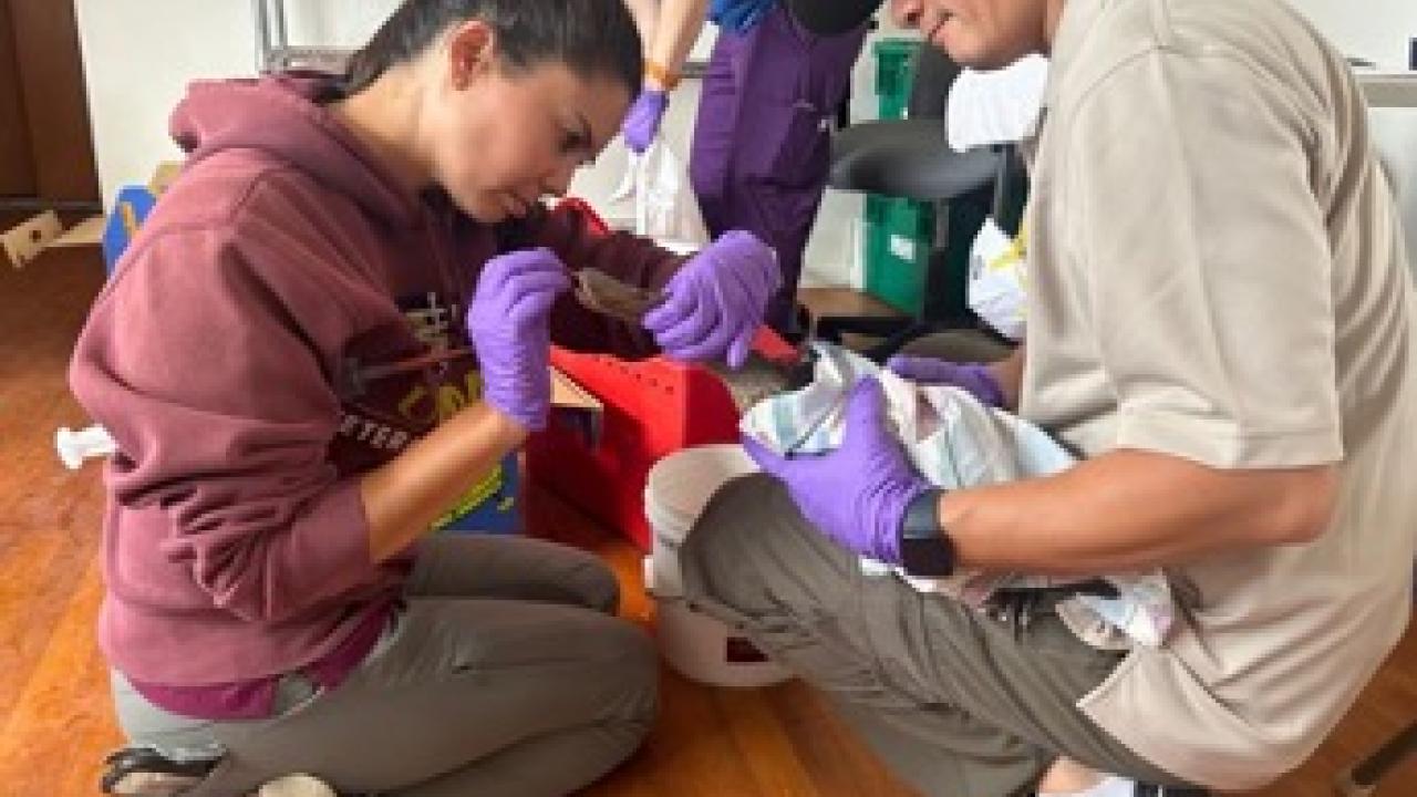 Duck Vet