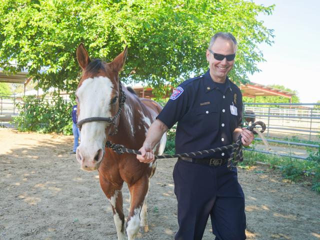 firefighter practicing equine handling