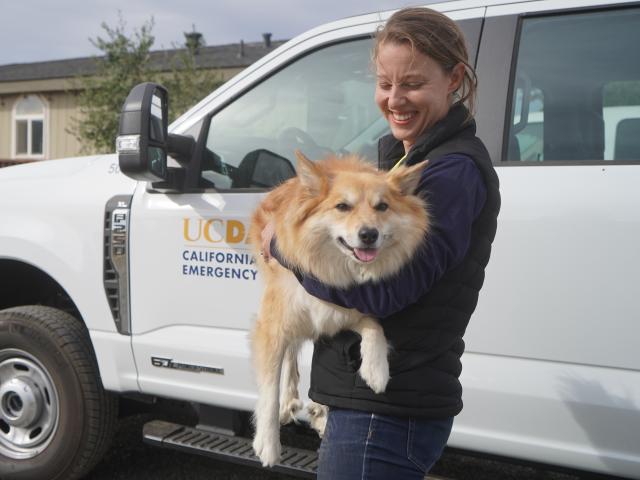 woman carrying fluffy dog