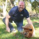 Scott Buhl with a pig