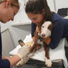 drs briana hamamoto and ashley patterson with a dog patient