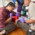 Duck Vet