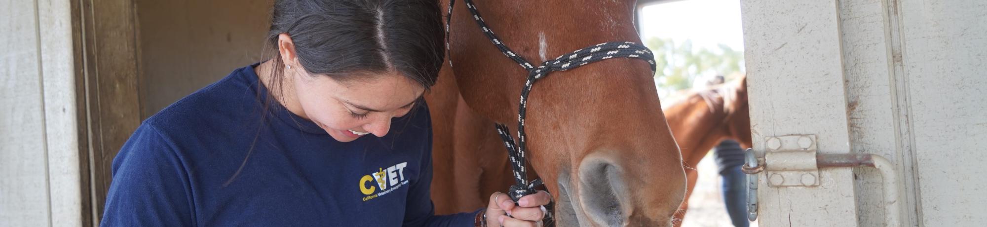 Dr. Briana Hamamoto walking with a horse