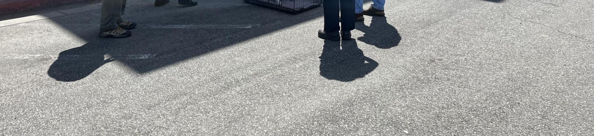 CVET training on dog handling